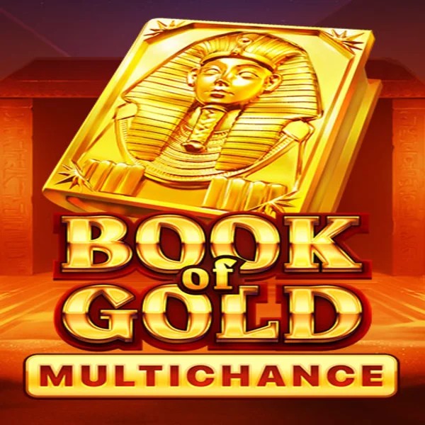 Book of Gold Multichance logo by Playson at Wintari Casino