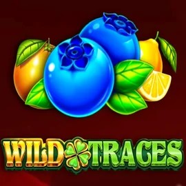 Play the Wild Traces slot by Amusnet Interactive on Wintari Casino